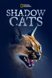 SHADOW CATS (2022)